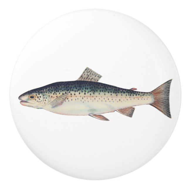 Colourful vintage salmon illustration ceramic knob (Front)