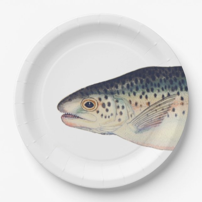 Colourful vintage salmon illustration paper plate (Front)