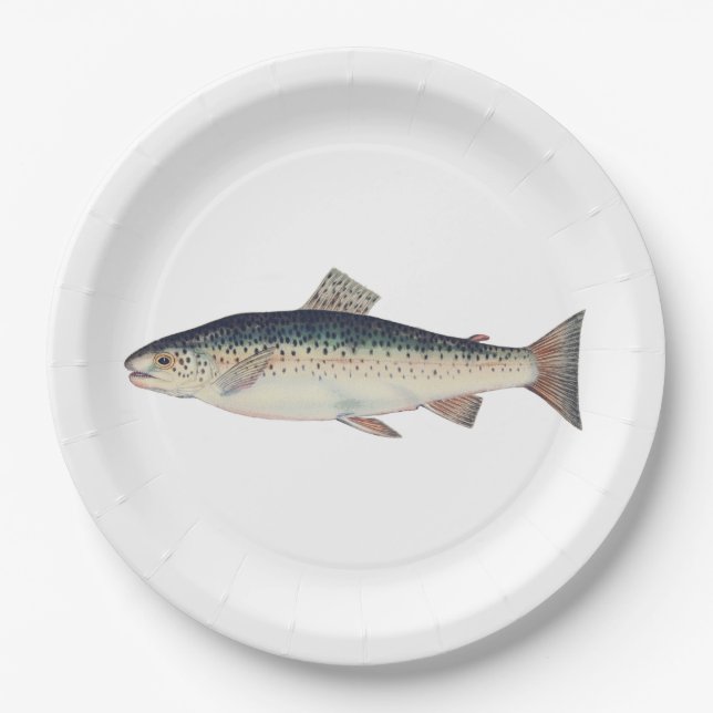 Colourful vintage salmon illustration paper plate (Front)
