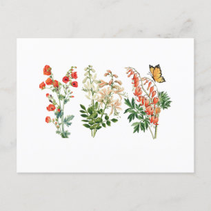 Colourful Vintage Summer Flowers  Postcard