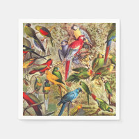 Colourful Vintage Tropical Birds Parrots