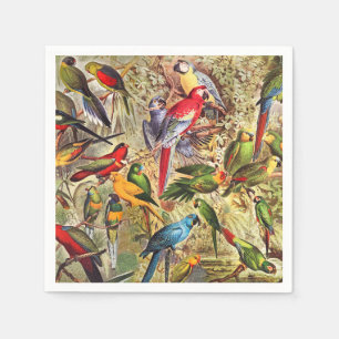 Colourful Vintage Tropical Birds Parrots Napkin