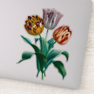 Colourful Vintage Watercolor Tulip Flowers Bouquet