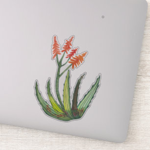 Colourful Watercolor Aloe Vera Succulent FLowers