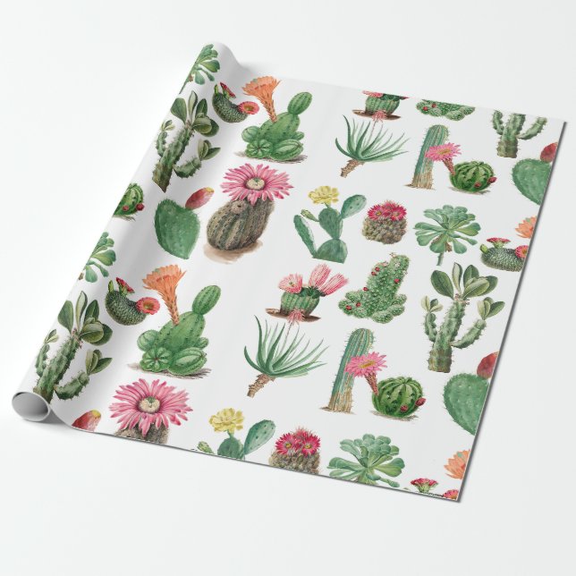 Colourful Watercolor Cactus & Succulents Flowers Wrapping Paper (Unrolled)