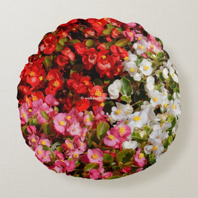 Colourful Wax Begonias Round Pillow (Front)