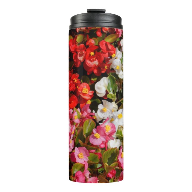 Colourful Wax Begonias Thermal Tumbler (Front)