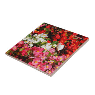 Colourful Wax Begonias Tile