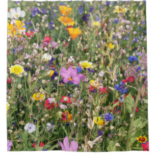 Colourful wildflower meadow, vibrant pattern.