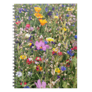 Colourful wildflower meadow, vibrant pattern. notebook