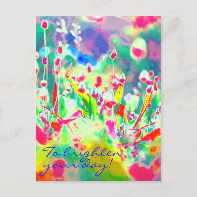 Colourful Wildflower Thinking Of You Flower Postcard (Front)