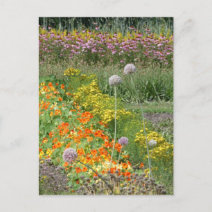 Colourful Wildflowers Field DIY Postcard