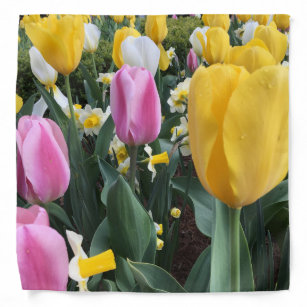 Colourful Yellow and Pink Tulips Fashion Bandana