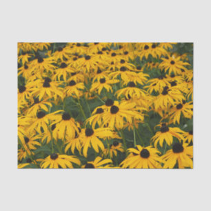Colourful Yellow Daisy Floral Photo Tissue Paper