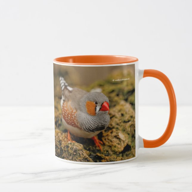 Colourful Zebra Finch Songbird on the Rocks Mug (Right)