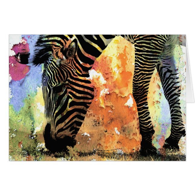 Colourful Zebra Grunge (Front Horizontal)