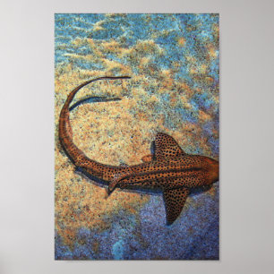 Colourful Zebra Shark Poster