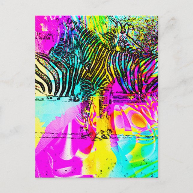 Colourful Zebras Postcard (Front)