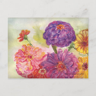 Colourful Zinnias Postcard