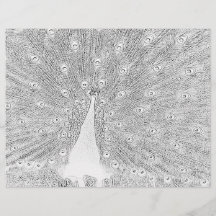 Colouring Page - Peacock with Fanned Tail