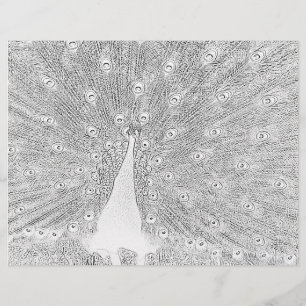 Colouring Page - Peacock with Fanned Tail