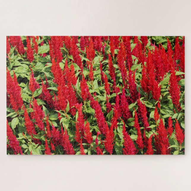 Colours 1 jigsaw puzzle (Horizontal)