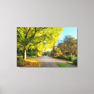 Colours Of Autumn  Canvas Print