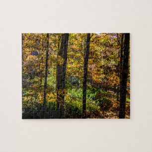 Colours of Autumn Jigsaw Puzzle
