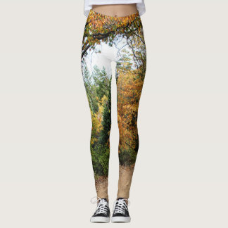 Colours of Autumn Print Leggings