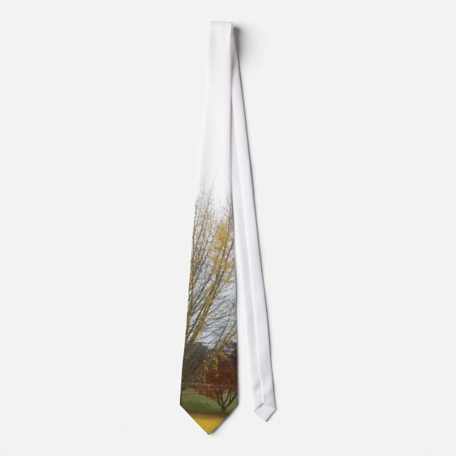 "Colours Of Autumn" Tie (Front)