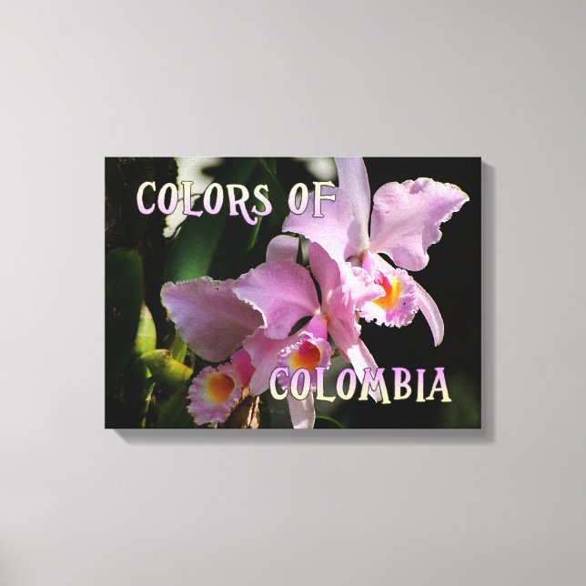 Colours of Colombia Cattleya Orchid Canvas Print (Front)