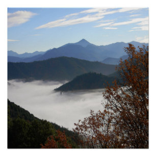 Colours of Fall with morning fog.... Poster