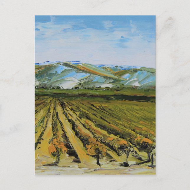 Colours of Napa Valley, Wine Country California Postcard (Front)
