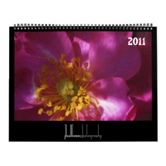 colours of nature 2011 calendar