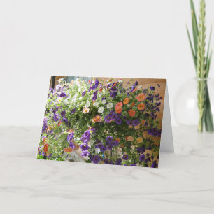 Colours Of Petunias, Thinking of You Prayer Card