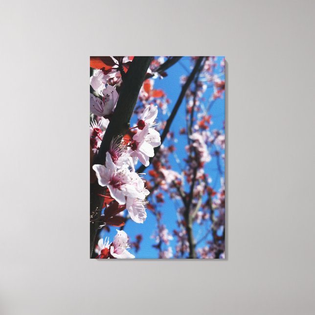 Colours of spring canvas print (Front)