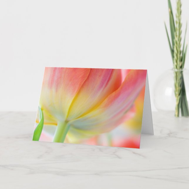 Colours of Spring - Greeting Card (Front)