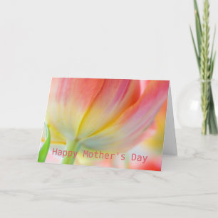 Colours of Spring • Mother's Day Greeting Card