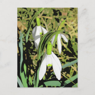Colours of Spring Postcard