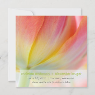 Colours of Spring • Save the Date Announcement