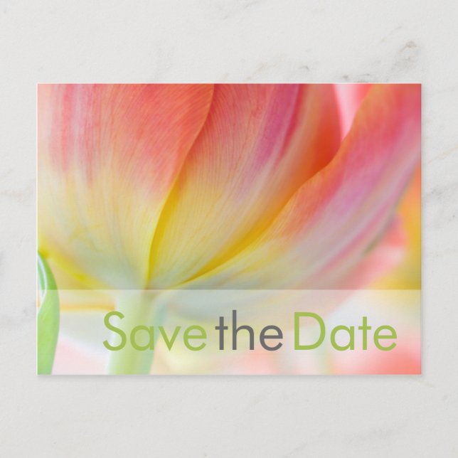 Colours of Spring • Save the Date Postcard (Front)