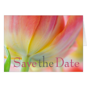 Colours of Spring Tulip Save the Date Card