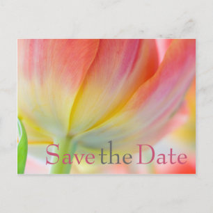 Colours of Spring Tulip Save the Date Postcard