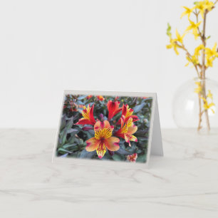 Colours of summer card