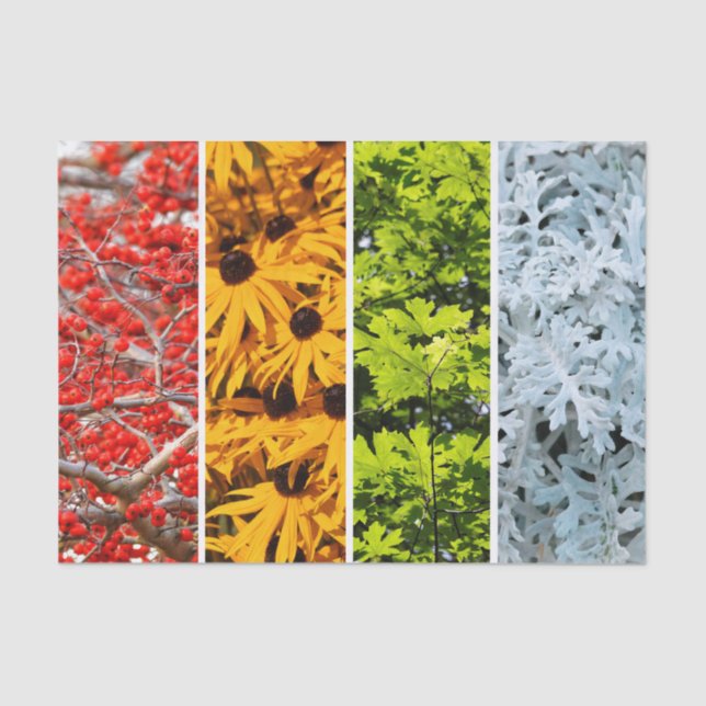 Colours of the Changing Seasons Quadriptych Tissue Paper (Front)