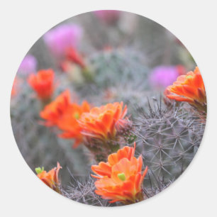 Colours of the desert classic round sticker