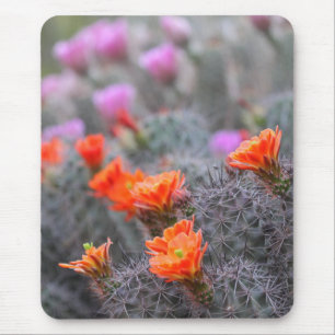 Colours of the desert mouse pad