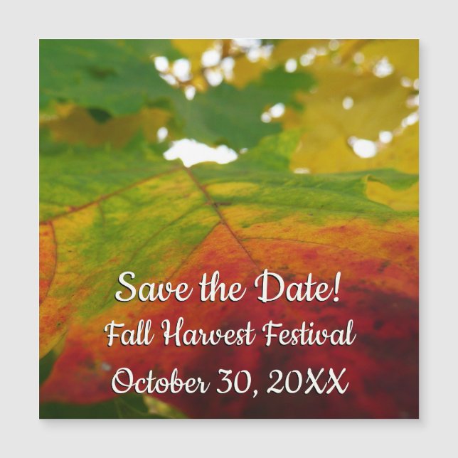 Colours of the Maple Leaf Autumn Nature Photograph (Front)