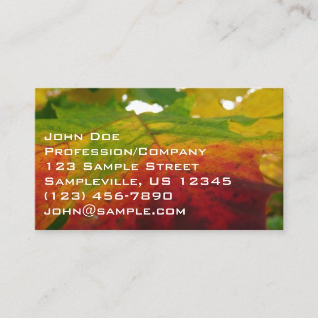Colours of the Maple Leaf Autumn Nature Photograph Business Card (Front)