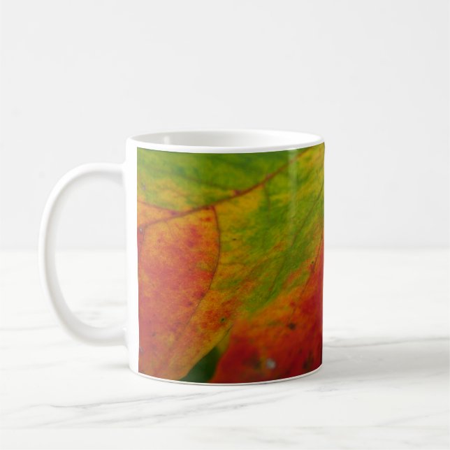 Colours of the Maple Leaf Autumn Nature Photograph Coffee Mug (Left)